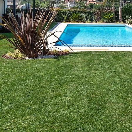 Cosy In Varzea With Private Pool Chalet